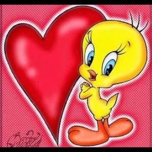 Meet your Posher, Silvia